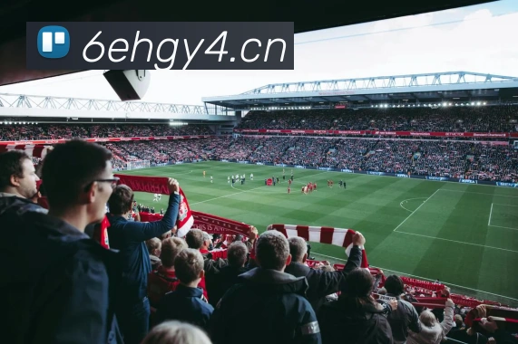 App Interface Preview